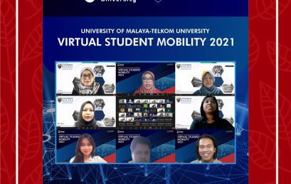 VSM Tel-U & Universiti Malaya