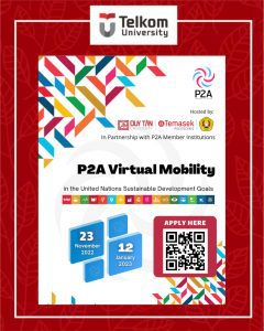 United Nations SDGs P2A Virtual Mobility