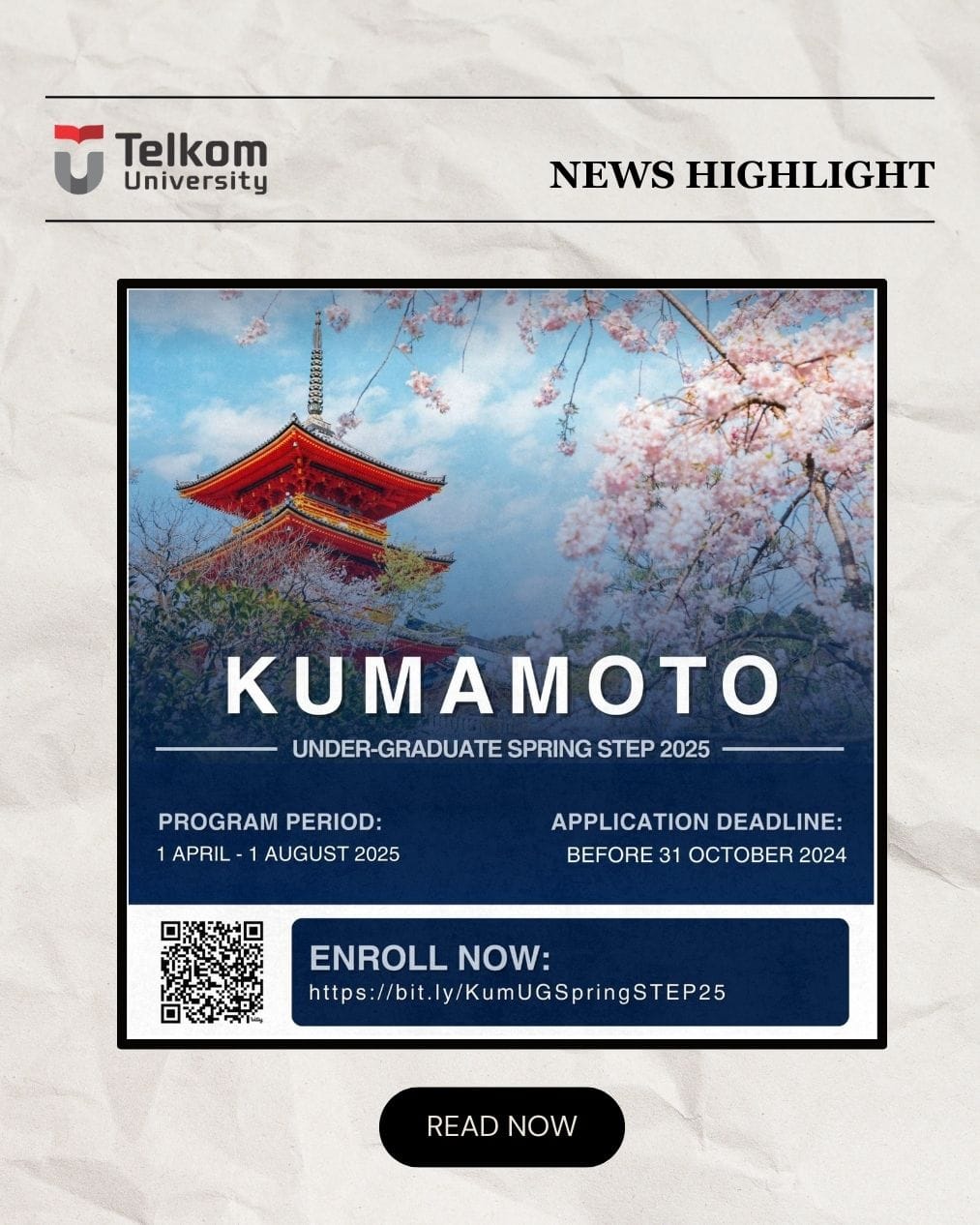 Kumamoto UnderGrad Spring STEP 2025 Kumamoto UnderGrad Spring STEP 2025